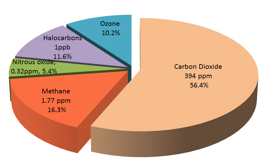 Essay On The Greenhouse Effect