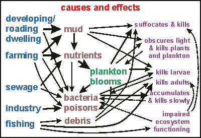 Cause and effect of pollution essay