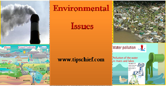 Environmental Issues Essay | List of Environmental Problems