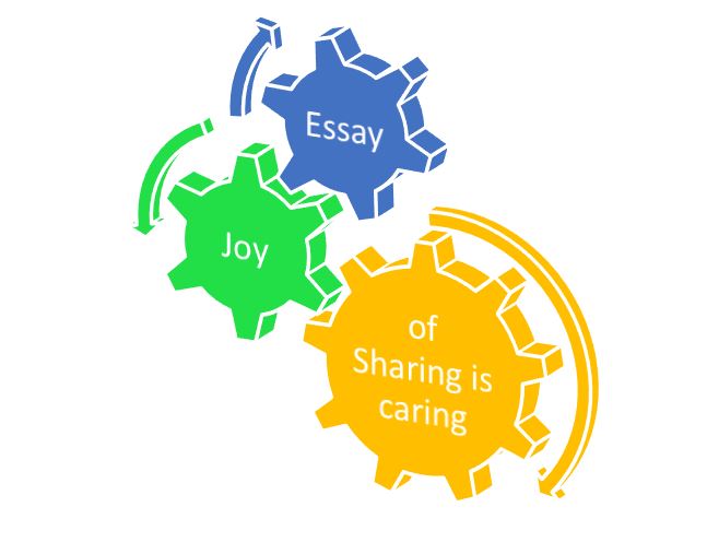 What is joy essay