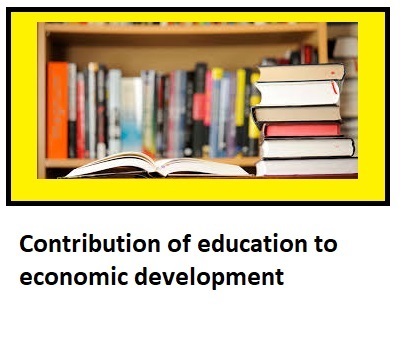 economic contribution education