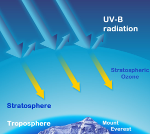 Ozone Layer