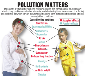 Pollution effects