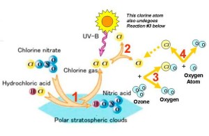 ozone depletion