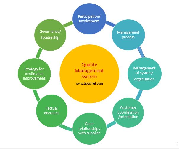 Quality Management System Organization Chart