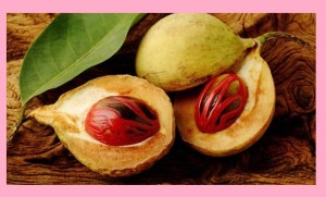Nutmeg benefits and side effects